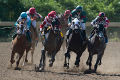 Fort Erie Race Track, July 16, 2024 Image