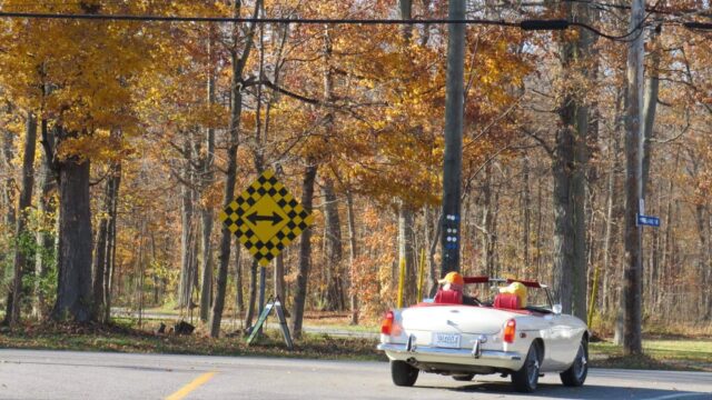 Run for the Fall Colours, Nov. 2, 2024 Image