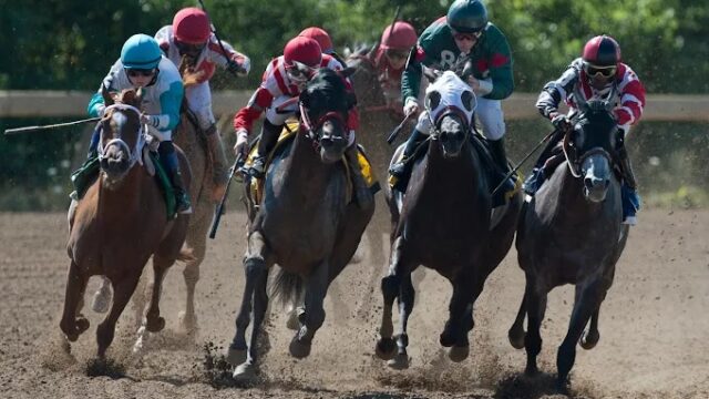 Fort Erie Racestrack, Sept. 16, 2025 Image