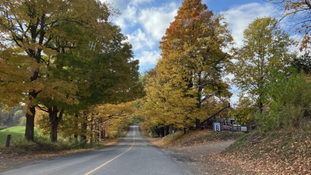 Fall Pop-up Run, November 2, 2025 Image